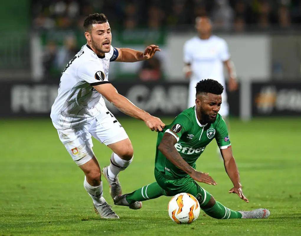 森林狼近年 森林狼近年