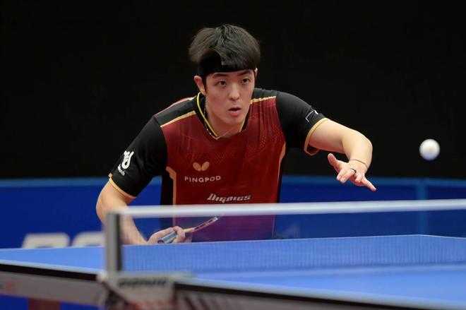 仅令人瞩目 仅令人瞩目